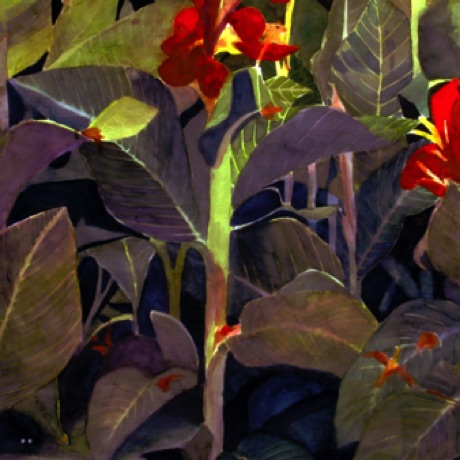 Cat in the Cannas
44x30.5 Cat in the Cannas
44x30.5